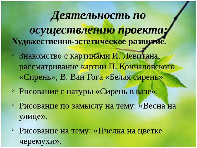 Методическая разработка Проект "Весенние секреты"