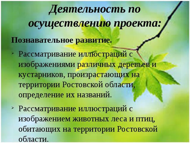 Методическая разработка Проект "Весенние секреты"