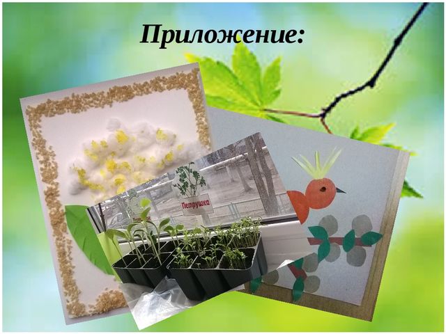 Методическая разработка Проект "Весенние секреты"