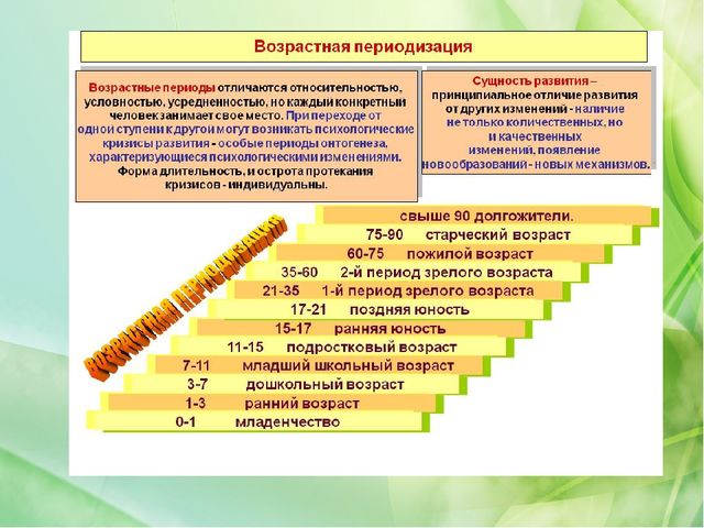 Возрастная периодизация отечественных и зарубежных психологов