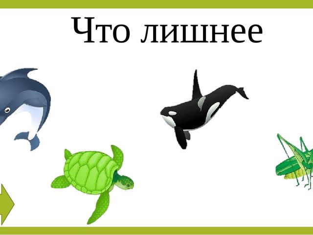Презентация по познавательному развитию "Что лишнее"