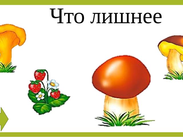 Презентация по познавательному развитию "Что лишнее"