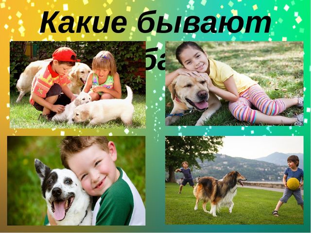 Презентация по окружающему миру в старшей группе "Какие бывают собаки?"