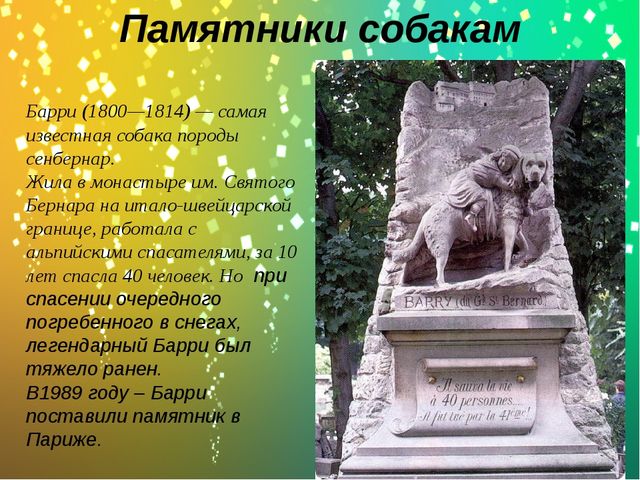 Презентация по окружающему миру в старшей группе "Какие бывают собаки?"