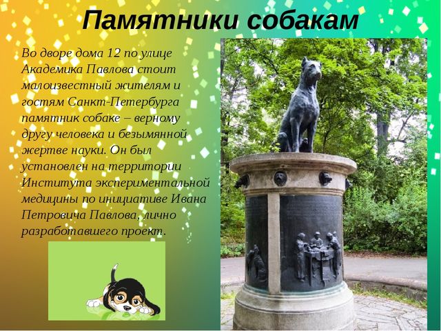 Презентация по окружающему миру в старшей группе "Какие бывают собаки?"
