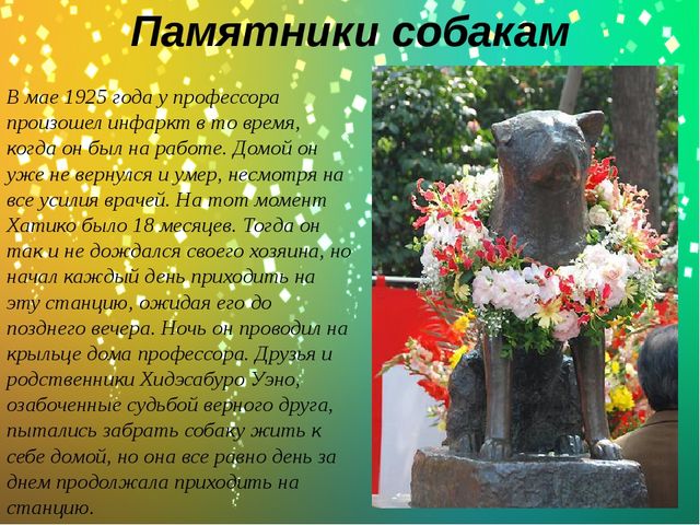 Презентация по окружающему миру в старшей группе "Какие бывают собаки?"