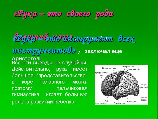 Презентация. Развитие мелкой моторики у детей дошкольного возраста.