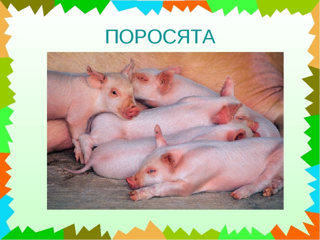 Презентация для дошкольников "Чей это голос?"