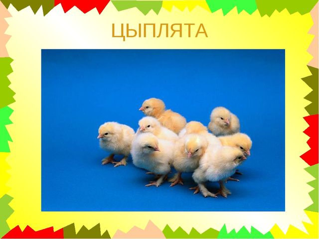 Презентация для дошкольников "Чей это голос?"