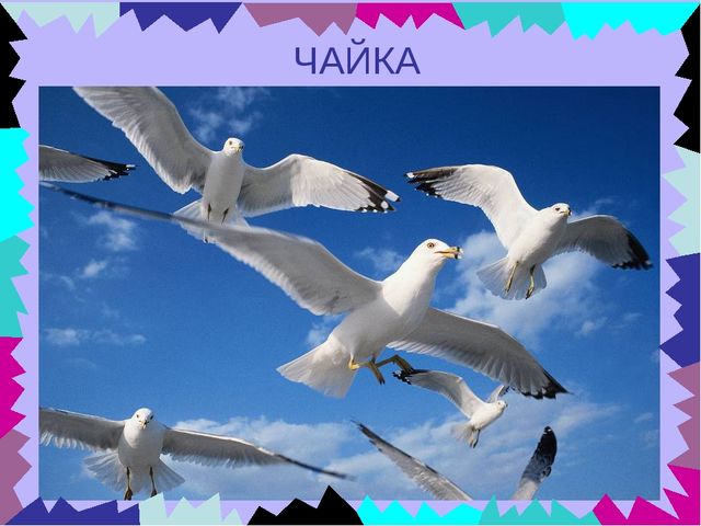Презентация для дошкольников "Чей это голос?"