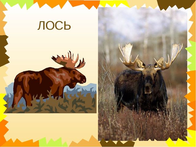 Презентация для дошкольников "Чей это голос?"
