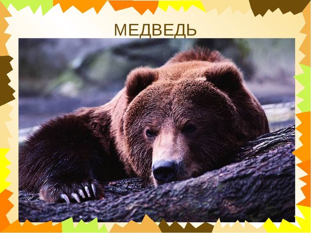 Презентация для дошкольников "Чей это голос?"