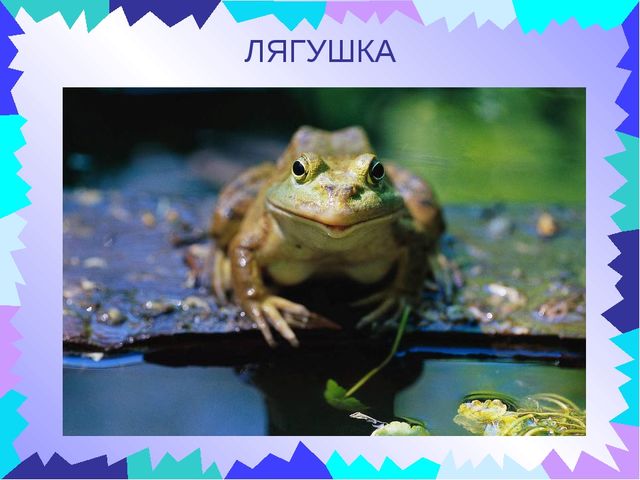 Презентация для дошкольников "Чей это голос?"