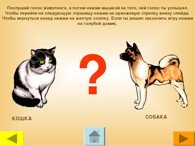 Презентация для дошкольников "Чей это голос?"