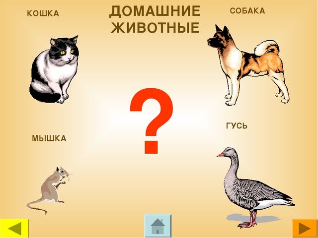 Презентация для дошкольников "Чей это голос?"