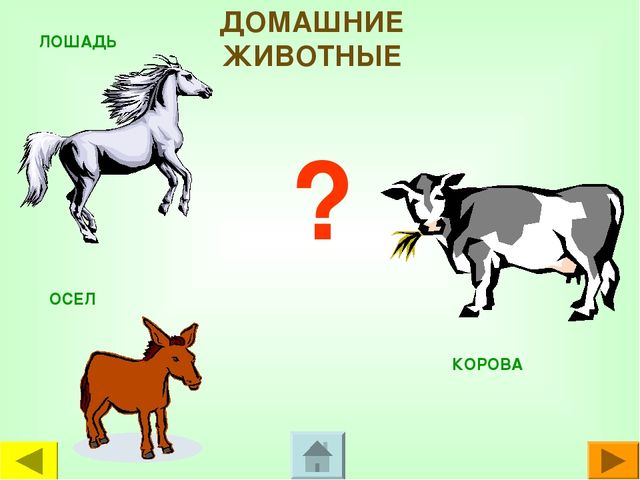 Презентация для дошкольников "Чей это голос?"