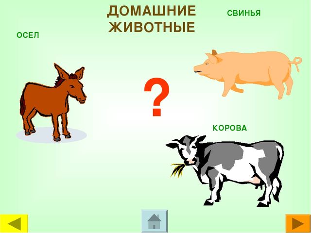 Презентация для дошкольников "Чей это голос?"