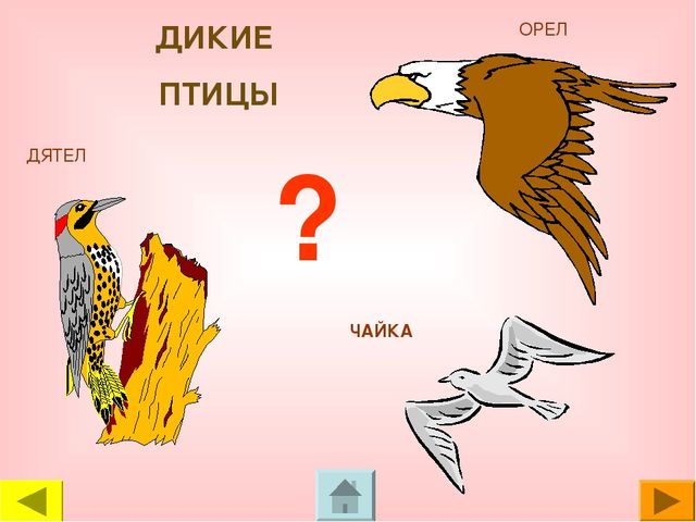 Презентация для дошкольников "Чей это голос?"