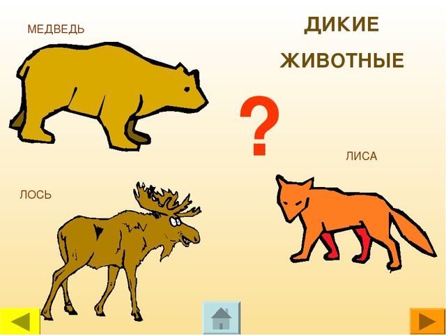 Презентация для дошкольников "Чей это голос?"