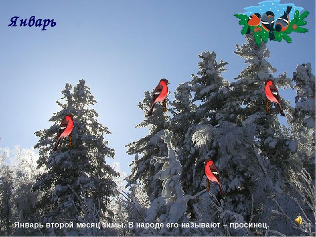Презентация на тему "ЗИМА" (2 млад.группа)