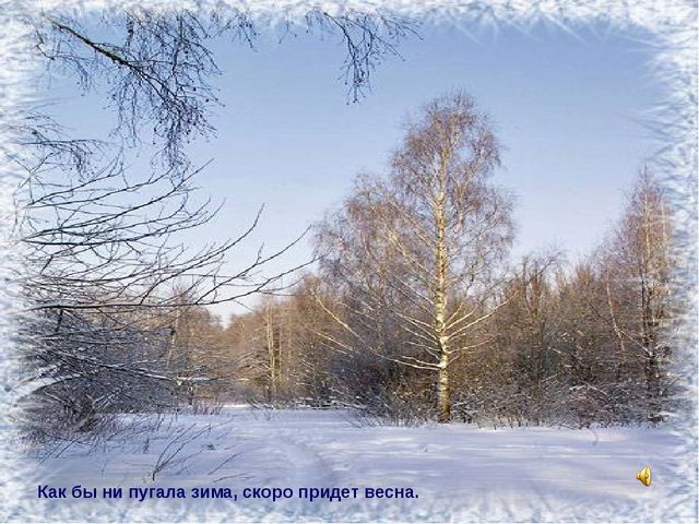 Презентация на тему "ЗИМА" (2 млад.группа)