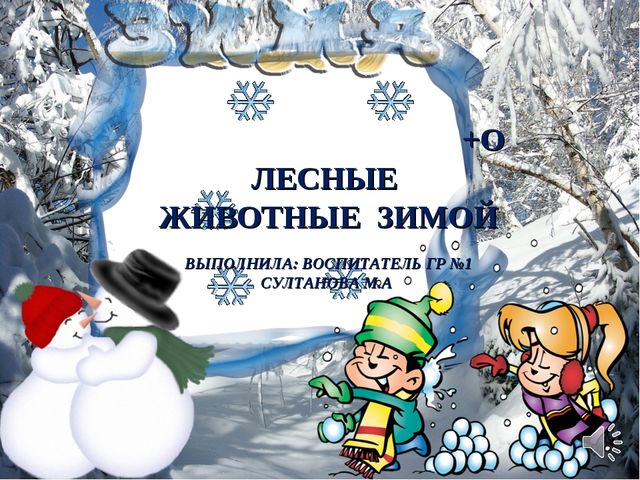 Презентация в образовательной области "Познавательное развитие" старший дошкольный возраст