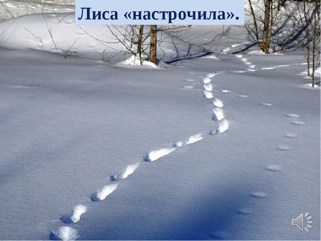 Презентация в образовательной области "Познавательное развитие" старший дошкольный возраст