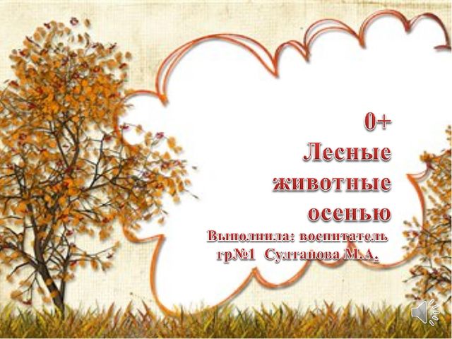 Презентация в образовательной области "Познавательное развитие"