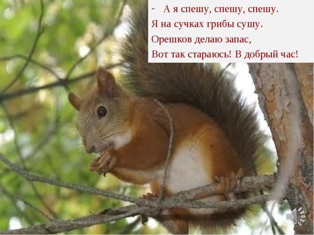 Презентация в образовательной области "Познавательное развитие"