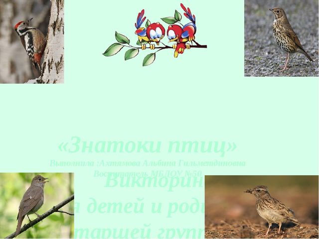 Презентация на тему" Перелетные и зимующие птицы РФ".
