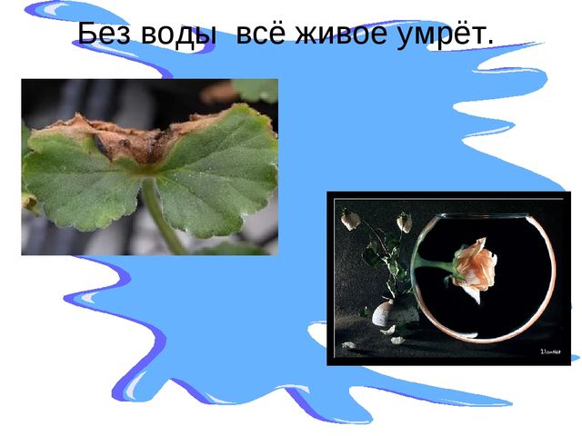 Презентация на тему: " Мир вокруг нас. Свойства воды"