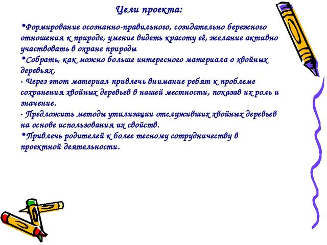 Презентация проекта "Ёлочка живи"