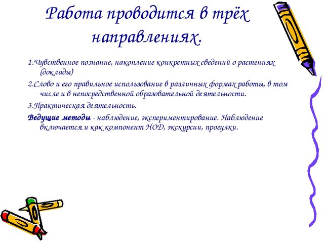 Презентация проекта "Ёлочка живи"
