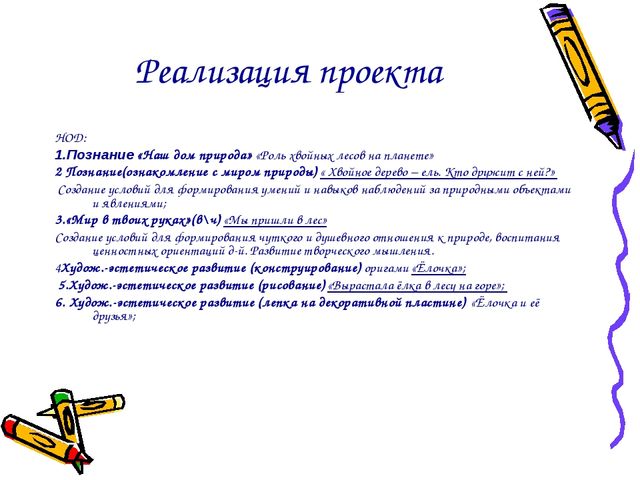 Презентация проекта "Ёлочка живи"