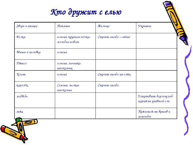 Презентация проекта "Ёлочка живи"