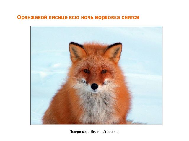 Презентация по ИЗО деятельности «Учим цвета» для детей младших групп