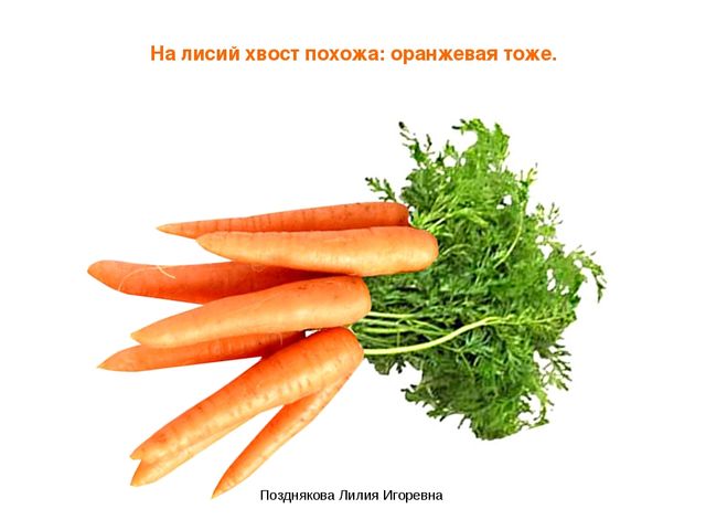 Презентация по ИЗО деятельности «Учим цвета» для детей младших групп