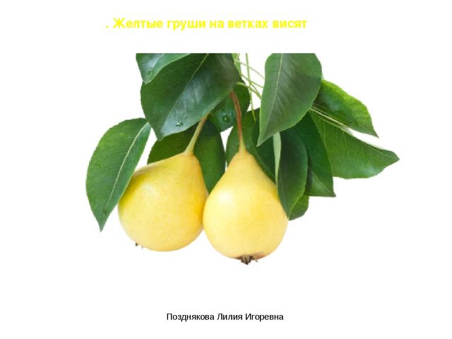 Презентация по ИЗО деятельности «Учим цвета» для детей младших групп