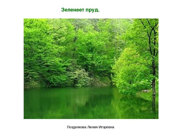 Презентация по ИЗО деятельности «Учим цвета» для детей младших групп