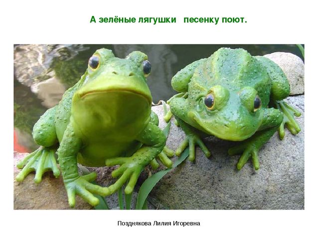Презентация по ИЗО деятельности «Учим цвета» для детей младших групп