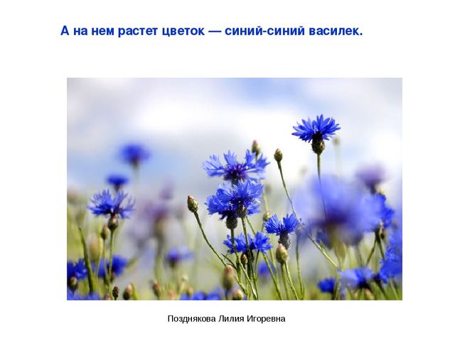 Презентация по ИЗО деятельности «Учим цвета» для детей младших групп