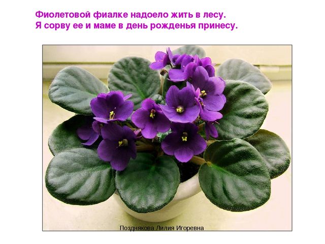 Презентация по ИЗО деятельности «Учим цвета» для детей младших групп