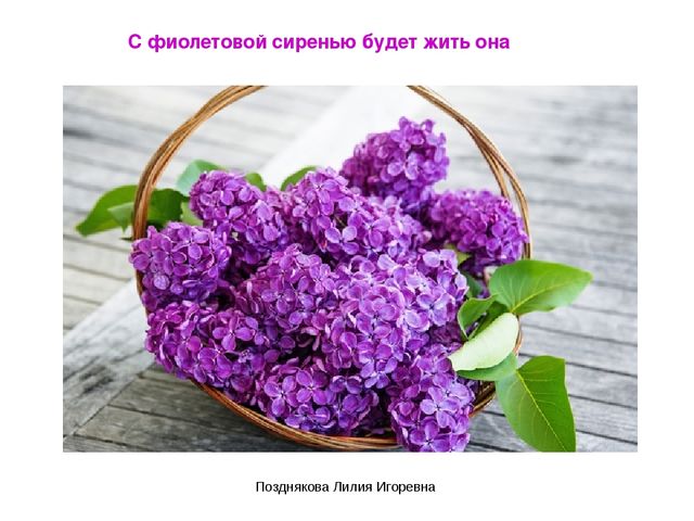 Презентация по ИЗО деятельности «Учим цвета» для детей младших групп
