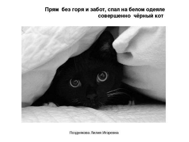 Презентация по ИЗО деятельности «Учим цвета» для детей младших групп