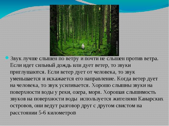 Презентация на тему "Ориентировка по звуку"