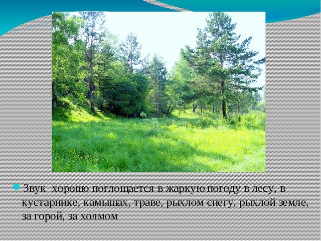 Презентация на тему "Ориентировка по звуку"