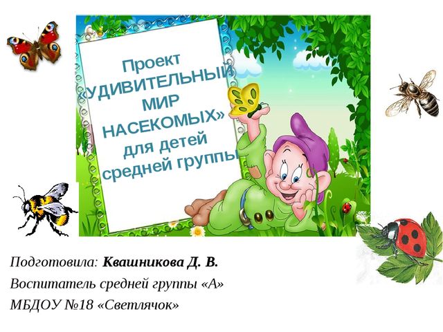 Проект "Удивительный мир насекомых" для детей средней группы