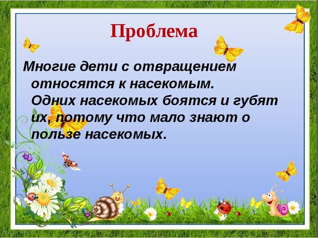 Проект "Удивительный мир насекомых" для детей средней группы