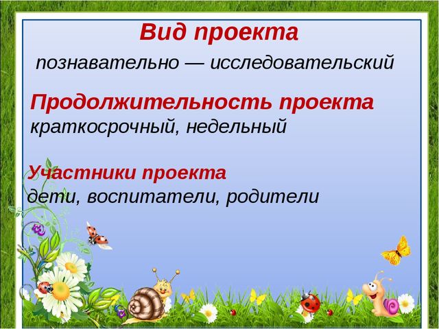 Проект "Удивительный мир насекомых" для детей средней группы