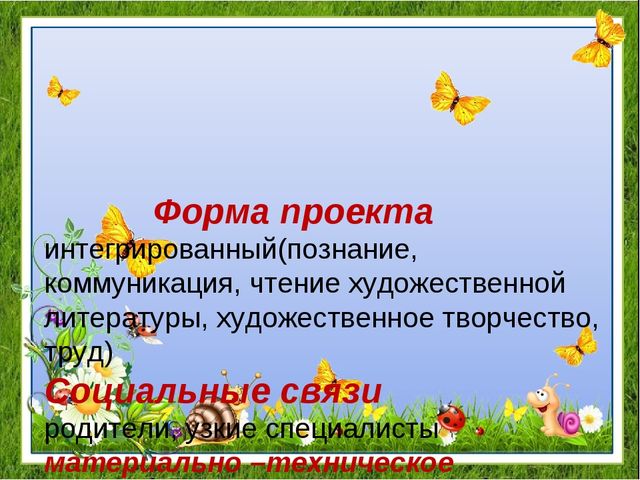 Проект "Удивительный мир насекомых" для детей средней группы